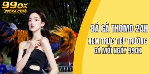 Đá gà Thomo 24h