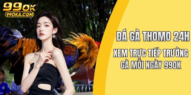 Đá gà Thomo 24h